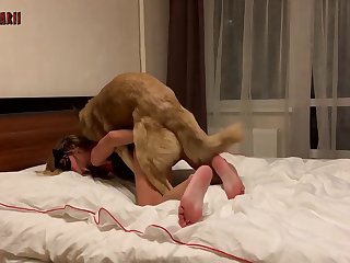 बीएफ सेक्सी घोड़ा