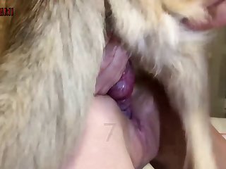 बीएफ सेक्सी घोड़ा