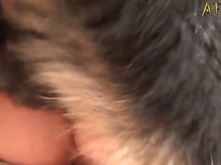 Animal Xx