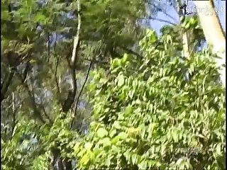 كس الكلبه
