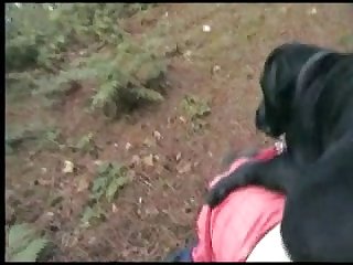 Cachorro Chupando Buceta Da Dona