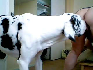 Zoofilia Ao Extremo