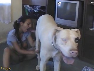 Man Sucks Dog Cock