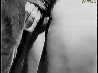 Cumming On Dogs Face