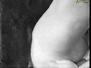 Cumming On Dogs Face