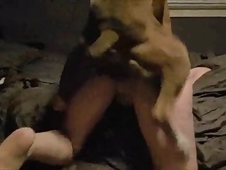 Colombian Bitch Fucking With Dog
