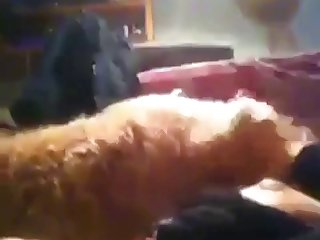 Sexo Gati
